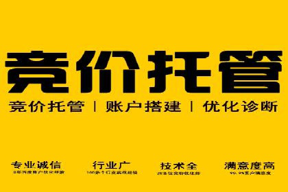网络推广策略：竞价广告的实践案例